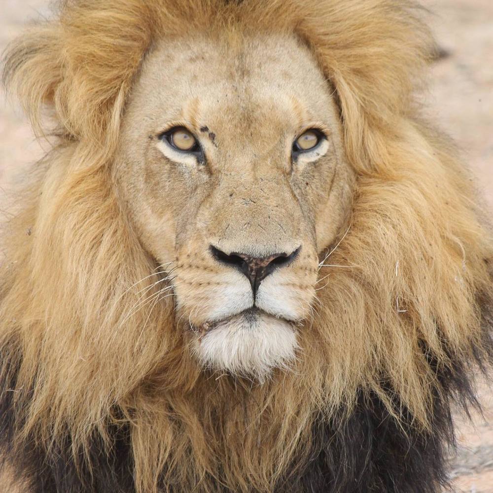 Meet your Posher, Jane